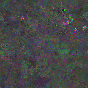 World at epoch 50000