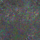 World at epoch 22000
