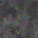 World at epoch 24000