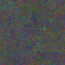 World at epoch 49000