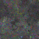 World at epoch 25000