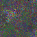 World at epoch 25000