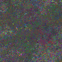 World at epoch 26000