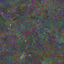 World at epoch 35000