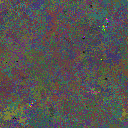 World at epoch 38000