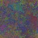 World at epoch 25000