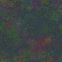 World at epoch 50000