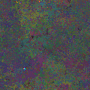 World at epoch 49000