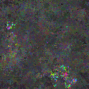 World at epoch 49000