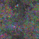 World at epoch 25000