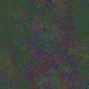 World at epoch 49000