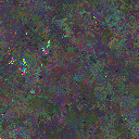 World at epoch 40000