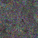 World at epoch 16250