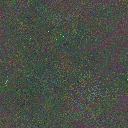 World at epoch 16000